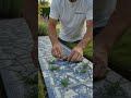 Broken China Garden Mosaic Path
