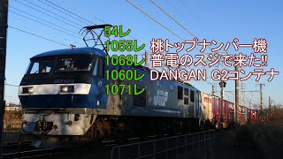 2020/02/11 JR貨物 祝日の大谷川踏切から朝貨物5本 遅れ1068レが普電のスジ??