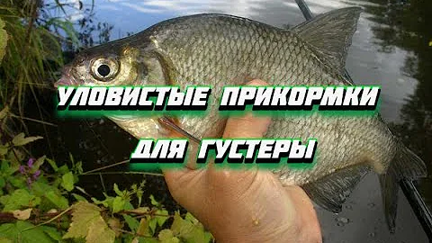 Эффективная прикормка для густеры. Несколько способов приготовления.