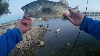 Bass fishing in socal part iii ...