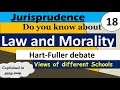 Law and morality in jurisprudence  relationship and hartfuller debate 