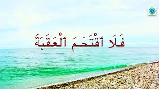Heart Touching || Surah Al Balad(The city) 90 || By Sheikh Abdirashid Ali Sufi
