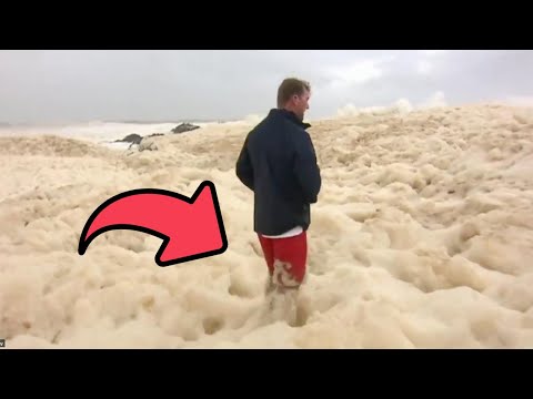 ما هو زبد البحر وكيف يتشك ل