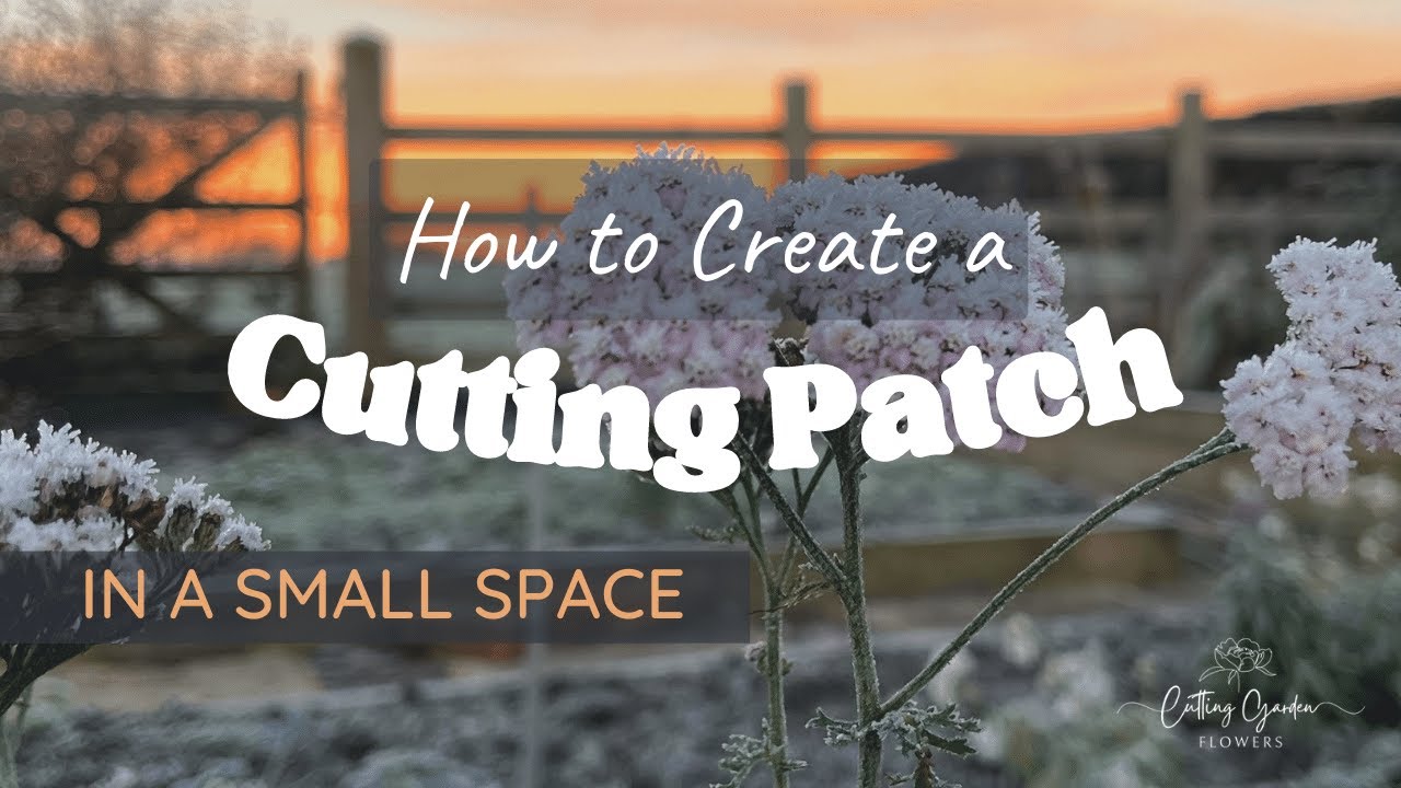 Creating a Cut-Flower Patch