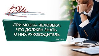 «Три мозга» человека: что должен знать о них руководитель