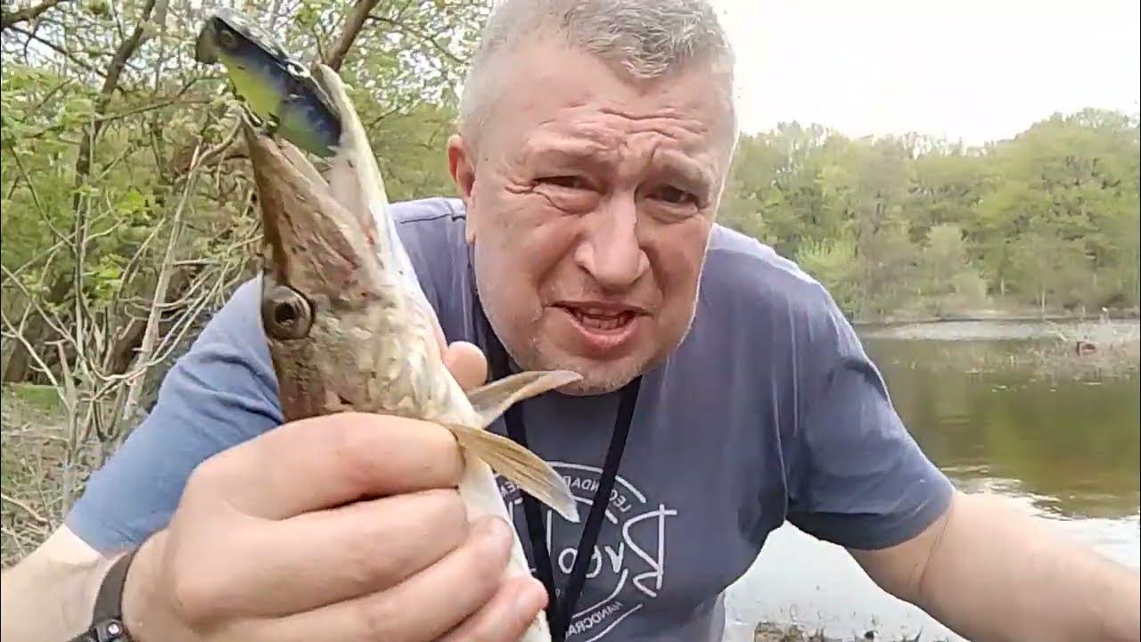 Раттлин - "яйцебород" K.D.F. Team Gratel 18,5 гр. - YouTube
