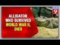 Alligator Saturn who survived World War II dies, rumours it belongs to Adolf Hitler