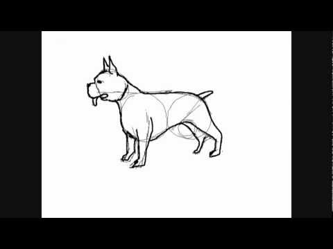 Dibujos de perros :perro Boxer - Dibujos para Pintar - thptnganamst.edu.vn