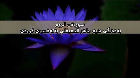 سوره‌تی الروم  به‌ده‌نگی شیخ ماهر المعيقلي به‌ته‌فسیری کوردی