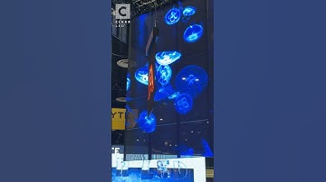 MicroMESH™ Double-Sided | InfoComm 2025