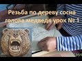 Резьба по дереву сосна голова медведя урок № 1