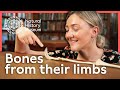 Sloth Claws and Adaptations Quiz