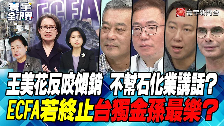 P3 王美花反咬傾銷 不幫石化業講話？ECFA若終止 台獨金孫最樂？【#寰宇全視界】 20231223 - 天天要聞