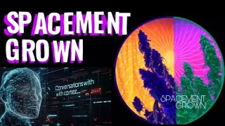 Conversations With Cortez X spacement grown