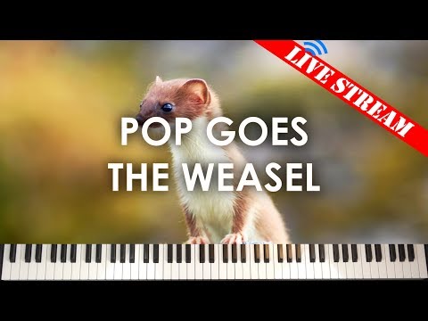 Pop Goes The Weasel - Kids' Live Lesson Preview