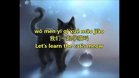 Xue Mao Jiao 学猫叫 - Pinyin lyrics with English translation = Xiao Panpan 小潘潘 & Xiao Fengfeng 小峰峰