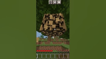 Minecraft But If You Subscribe Random Mob Spawn #shorts