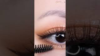 HOW TO FIX MASCARA SMUDGE | CÁCH SỬA MASCARA BỊ LEM | Chanchan Eyemakeup