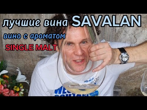 Хорошее вино до 900 рублей. Алкоэксперт Стефан Секулич. Азербайджанское вино Савалан. SAVALAN.