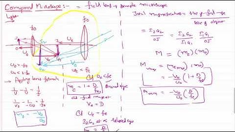 Compound Microscope Working and Magnification in Ray Optics