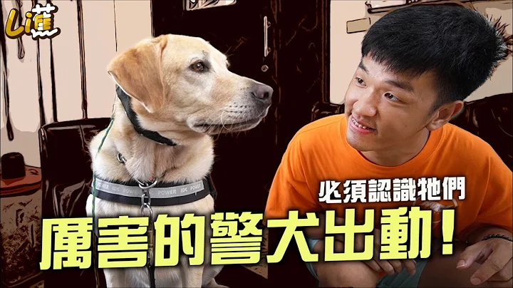 首次登场！厉害的警犬出动啦 必须认识牠们『香蕉』 - 天天要闻