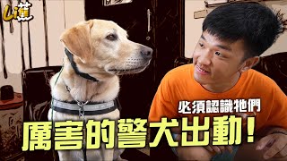 首次登場厲害的警犬出動啦 必須認識牠們『香蕉』