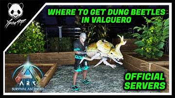 Where To Find And Tame Dung Beetles In Valguero | ARK: Survival Ascended