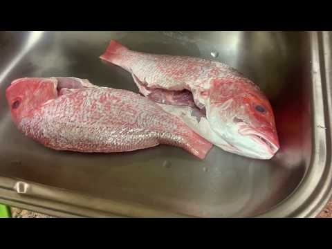 فيديو: لفات مع سمك أحمر في لافاش