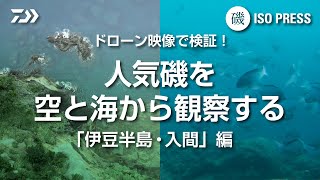 ドローン映像で検証！ 人気磯を空と海から観察する 「伊豆半島・入間」編【月刊磯PRESS 2022年11月号】