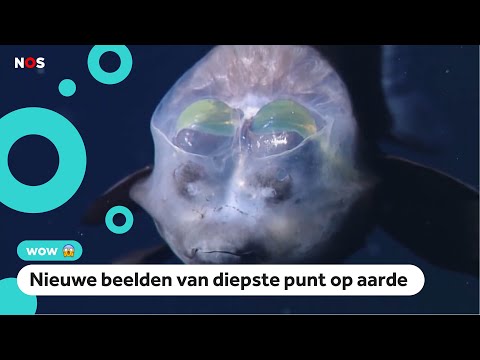 Video: Die diepste oseaan – op aarde en verder