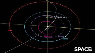 See Comet Nishimuras path around the sun in the orbit animation