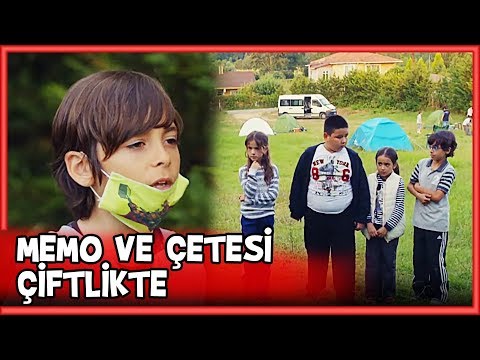 Mehmetcan ve Arkadaşları