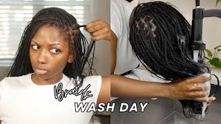 Braids Wash Day | Cleaning Scalp & Hair in Braids | Niara Alexis