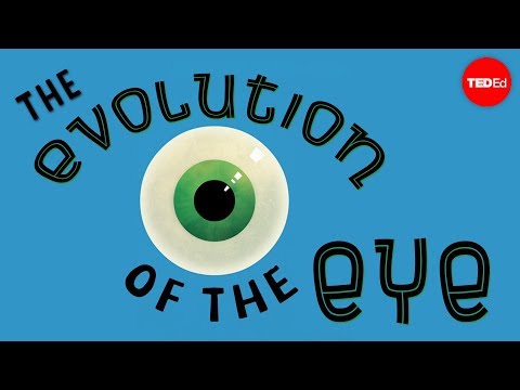The evolution of the human eye - Joshua Harvey
