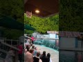 #acquarium #nature