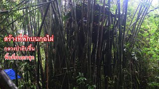 สร้างที่พักบนกอไผ่ ป่าชื้น ใกล้แหล่งน้ำ ที่พักต้องสูงแข็งแรง ep.40.Build a shelter on a bamboo clump