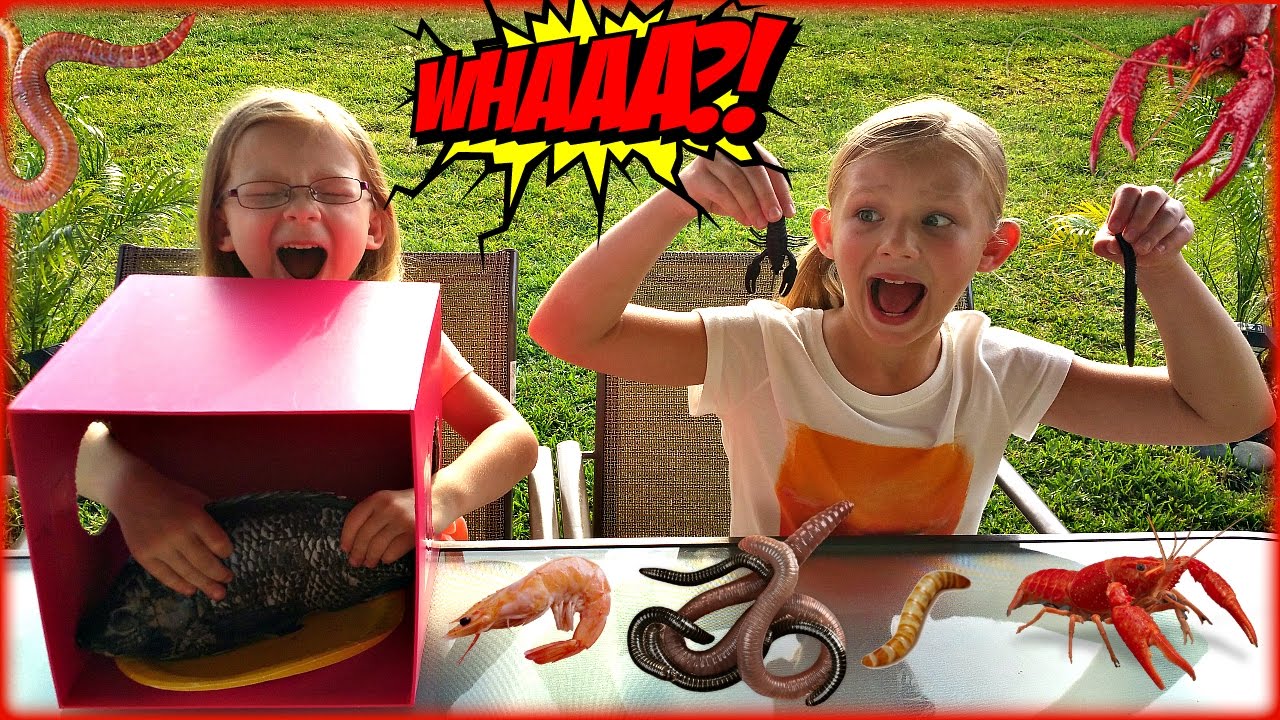 WHAT'S IN THE BOX CHALLENGE Magic Box Toys Collector YouTube