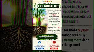 The Bamboo Tree Story | The Secret to Success, Patience & Growth (Powerful Motivation)