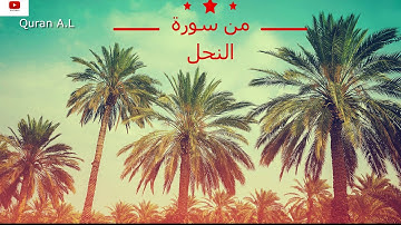 من سورة النحل @ القارئ عبدالرحمن مسعد AL