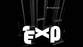 DJ Shufflemaster - Experience (Surgeon Remix)