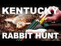 Kentucky rabbit hunt with friends