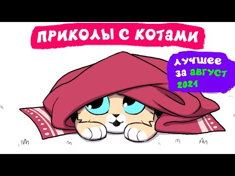 Приколы с котами. ЛУЧШЕЕ ЗА АВГУСТ 2021 | Мемозг