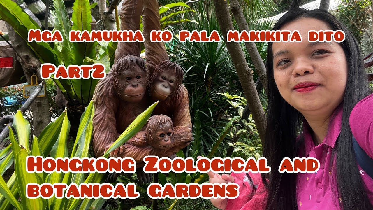 ANG PAGKIKITA NAMIN NG AKING KAMUKHA HAHA|Hongkong Zoological and Botanical Gardens 