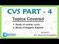 CVS Part - 4