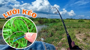 Săn lóc với mẫu lưỡi kéo cực nhạy cá | THÚ VUI MIỀN TÂY. 50