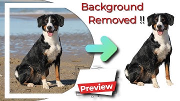 Preview: How to Remove Background from a Dog Photo using Paint NET Application in Windows