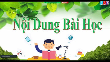 CHỦ ĐỀ F - BÀI 1: THỂ HIỆN CẤU TRÚC TUẦN TỰ TRONG CHƯƠNG TRÌNH -TIN 8 (CÁNH DIỀU)