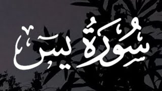 سورة يس كاملة القارئ أحمد خضر // Surah Yaseen Ahmed Khedr