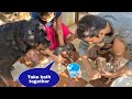 Adopting street dog||take bath together||rottweiler dog.