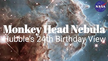 Hubble’s Stunning View of the Monkey Head Nebula | 24th Anniversary Image